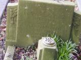 image of grave number 795305